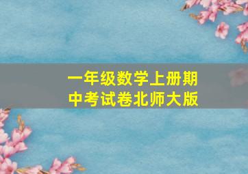 一年级数学上册期中考试卷北师大版