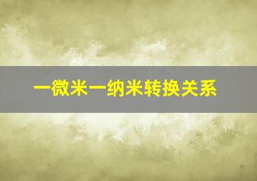 一微米一纳米转换关系