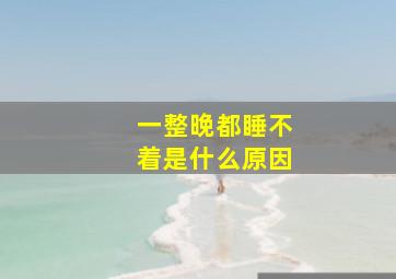 一整晚都睡不着是什么原因