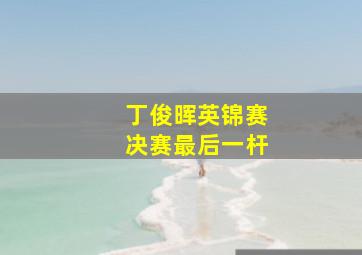 丁俊晖英锦赛决赛最后一杆