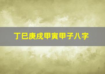 丁巳庚戌甲寅甲子八字