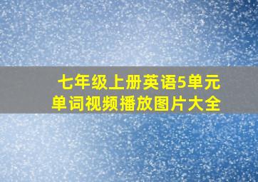 七年级上册英语5单元单词视频播放图片大全