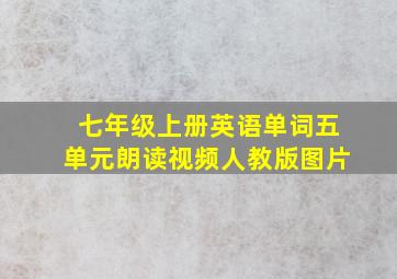 七年级上册英语单词五单元朗读视频人教版图片