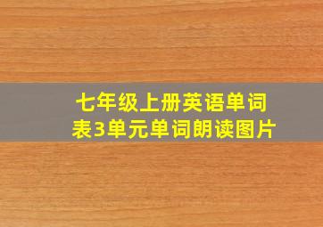 七年级上册英语单词表3单元单词朗读图片