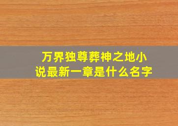 万界独尊葬神之地小说最新一章是什么名字