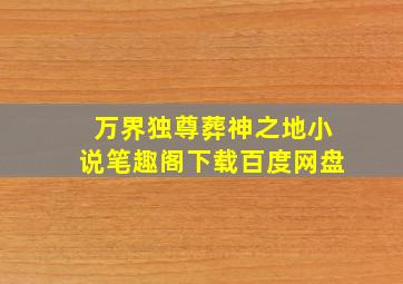 万界独尊葬神之地小说笔趣阁下载百度网盘