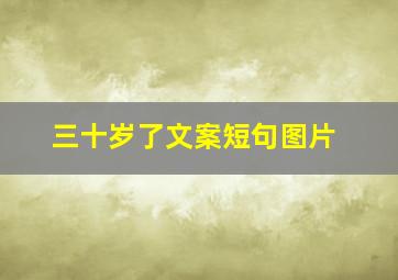 三十岁了文案短句图片