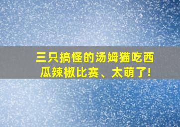 三只搞怪的汤姆猫吃西瓜辣椒比赛、太萌了!