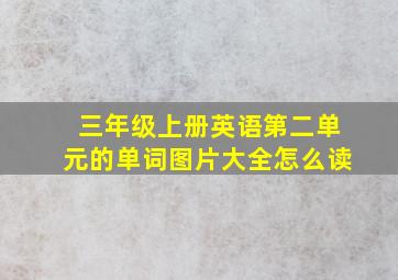 三年级上册英语第二单元的单词图片大全怎么读