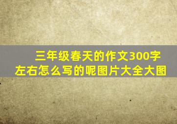 三年级春天的作文300字左右怎么写的呢图片大全大图