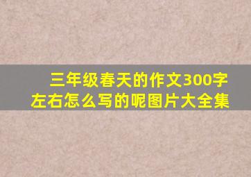 三年级春天的作文300字左右怎么写的呢图片大全集