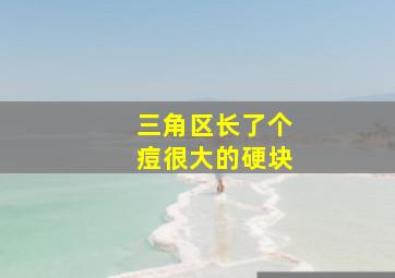 三角区长了个痘很大的硬块