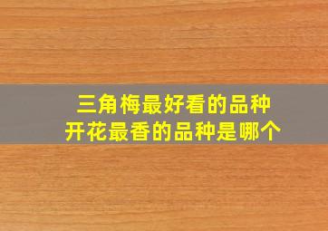 三角梅最好看的品种开花最香的品种是哪个