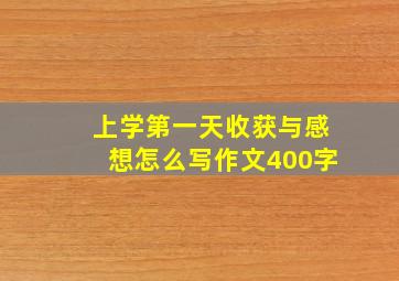 上学第一天收获与感想怎么写作文400字