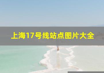 上海17号线站点图片大全