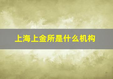 上海上金所是什么机构