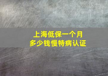 上海低保一个月多少钱慢特病认证