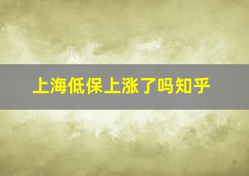 上海低保上涨了吗知乎