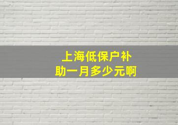 上海低保户补助一月多少元啊