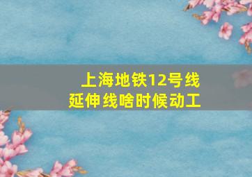 上海地铁12号线延伸线啥时候动工