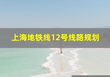 上海地铁线12号线路规划