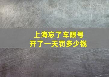 上海忘了车限号开了一天罚多少钱