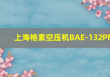 上海格素空压机BAE-132PM