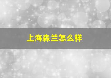 上海森兰怎么样