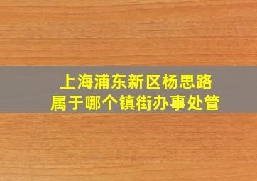 上海浦东新区杨思路属于哪个镇街办事处管