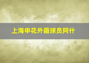 上海申花外籍球员阿什