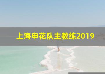 上海申花队主教练2019