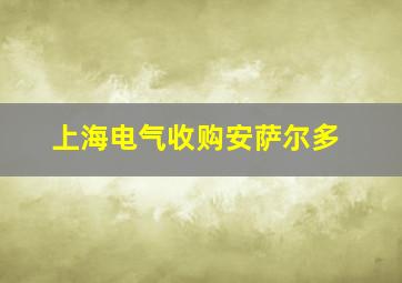 上海电气收购安萨尔多