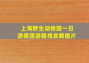 上海野生动物园一日游跟团游路线攻略图片