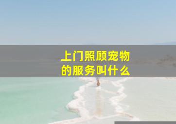 上门照顾宠物的服务叫什么