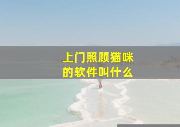 上门照顾猫咪的软件叫什么