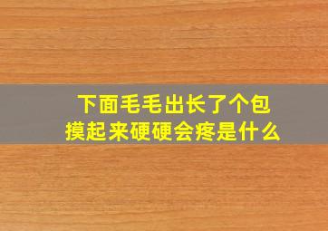 下面毛毛出长了个包摸起来硬硬会疼是什么