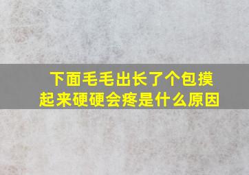 下面毛毛出长了个包摸起来硬硬会疼是什么原因