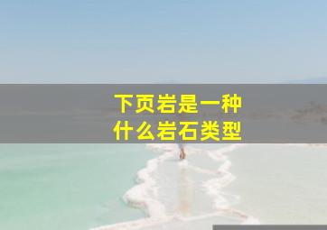 下页岩是一种什么岩石类型