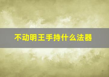 不动明王手持什么法器