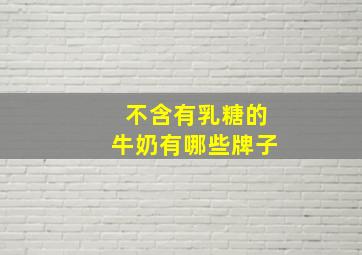 不含有乳糖的牛奶有哪些牌子