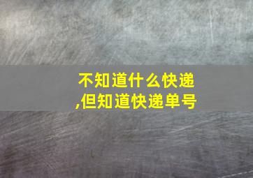 不知道什么快递,但知道快递单号