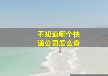 不知道哪个快递公司怎么查