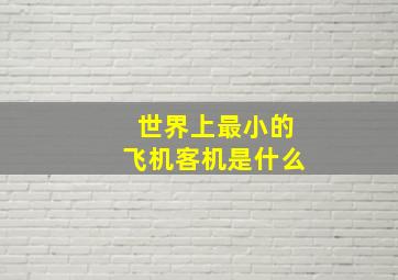 世界上最小的飞机客机是什么