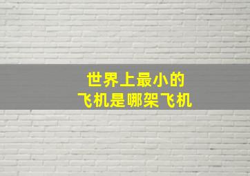 世界上最小的飞机是哪架飞机