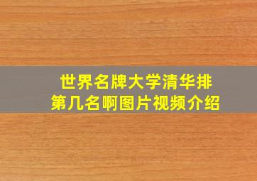 世界名牌大学清华排第几名啊图片视频介绍