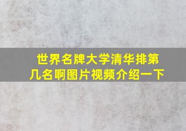 世界名牌大学清华排第几名啊图片视频介绍一下