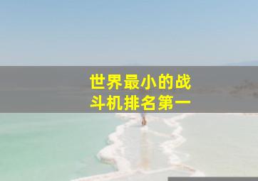 世界最小的战斗机排名第一