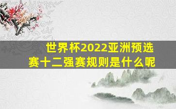 世界杯2022亚洲预选赛十二强赛规则是什么呢