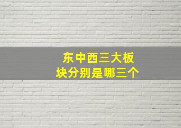 东中西三大板块分别是哪三个