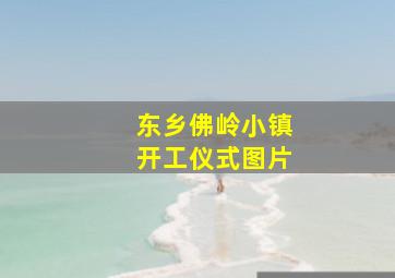 东乡佛岭小镇开工仪式图片